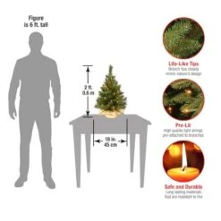 24" Pre-Lit Majestic Fir Tree In Gold Cloth Bag, Clear Lights -Northlight Shop D206330S 15