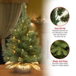 24" Pre-Lit Majestic Fir Tree In Gold Cloth Bag, Clear Lights -Northlight Shop D206330S 16