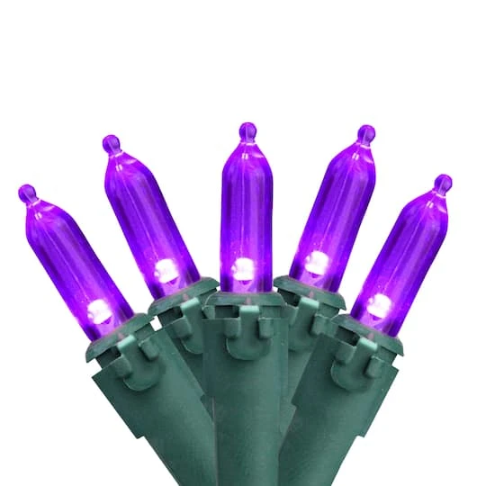 Northlight 100ct. LED Mini Christmas Lights With Green Wire Purple 5 Northlight 100ct. LED Mini Christmas Lights With Green Wire Purple - Image 3
