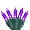 Northlight 100ct. LED Mini Christmas Lights With Green Wire Purple
