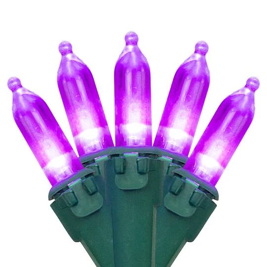 Northlight 100ct. LED Mini Christmas Lights With Green Wire Purple 7 Northlight 100ct. LED Mini Christmas Lights With Green Wire Purple - Image 5