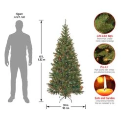 6ft. Pre-Lit Aspen Spruce Artificial Christmas Tree, Multicolor Lights -Northlight Shop D228338S 15