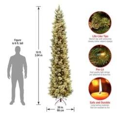 10ft. Pre-Lit Carolina Pine Artificial Christmas Tree, Clear Lights 12 10ft. Pre-Lit Carolina Pine Artificial Christmas Tree, Clear Lights -Northlight Shop D228339S 14