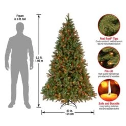 6.5ft. Pre-Lit Downswept Douglas® Fir Tree, Multicolor Lights 14 6.5ft. Pre-Lit Downswept Douglas® Fir Tree, Multicolor Lights -Northlight Shop D228427S 15
