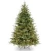 6.5ft. Pre-Lit Frasier Grande Artificial Christmas Tree, Dual Color® LED Lights 1 6.5ft. Pre-Lit Frasier Grande Artificial Christmas Tree, Dual Color® LED Lights -Northlight Shop D228448S 1