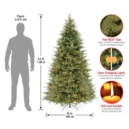 6.5ft. Pre-Lit Frasier Grande Artificial Christmas Tree, Dual Color® LED Lights 8 6.5ft. Pre-Lit Frasier Grande Artificial Christmas Tree, Dual Color® LED Lights - Image 6