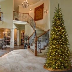 9ft. Pre-Lit Tiffany Fir Slim Tree, Clear Lights 12 9ft. Pre-Lit Tiffany Fir Slim Tree, Clear Lights -Northlight Shop D228561S 12