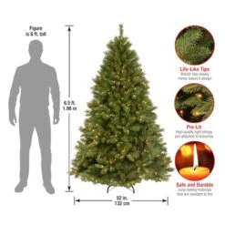 6.5ft. Pre-Lit Winchester Pine Artificial Christmas Tree, Clear Lights -Northlight Shop D228588S 4