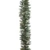 9ft. Pre-Lit Rocky Mountain Pine Garland -Northlight Shop D233997S 1