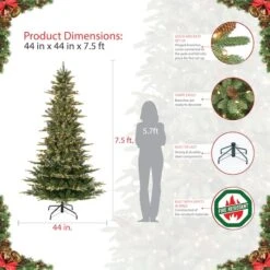 7.5ft. Pre-Lit Slim Aspen Fir Artificial Christmas Tree, Clear Lights 19 7.5ft. Pre-Lit Slim Aspen Fir Artificial Christmas Tree, Clear Lights -Northlight Shop D248380S 7
