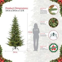7.5ft. Pre-Lit Natural Fir Artificial Christmas Tree, Clear Lights 15 7.5ft. Pre-Lit Natural Fir Artificial Christmas Tree, Clear Lights -Northlight Shop D248389S 8