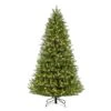 7.5ft. Pre-Lit Glacier Fir Artificial Christmas Tree, Clear Lights 1 7.5ft. Pre-Lit Glacier Fir Artificial Christmas Tree, Clear Lights -Northlight Shop D248428S 20