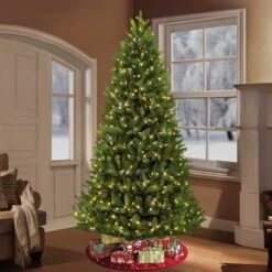 7.5ft. Pre-Lit Glacier Fir Artificial Christmas Tree, Clear Lights 12 7.5ft. Pre-Lit Glacier Fir Artificial Christmas Tree, Clear Lights -Northlight Shop D248428S 21