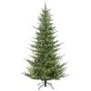 6.5ft. Pre-Lit Natural Fir Artificial Christmas Tree, Clear Lights 2 6.5ft. Pre-Lit Natural Fir Artificial Christmas Tree, Clear Lights -Northlight Shop D248498S 20