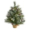 2ft. Pre-Lit Frosted Pine Artificial Christmas Tree With Pinecones, Clear LED Lights -Northlight Shop D251265S 1