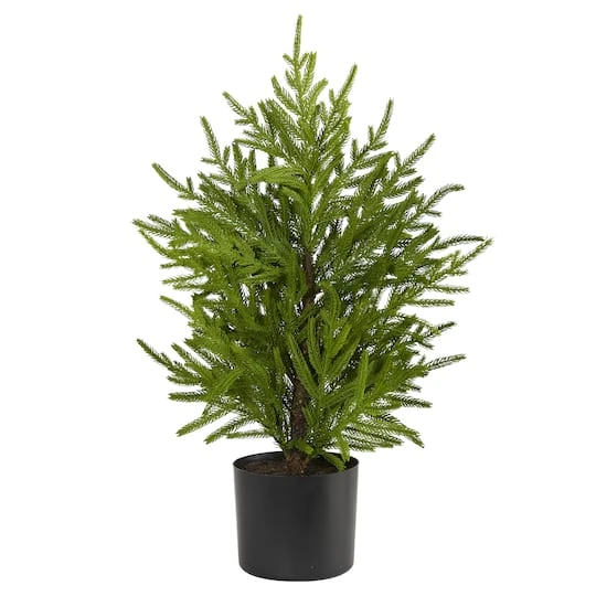 2ft. Unlit Norfolk Island Pine Artificial Potted Christmas Tree 4 2ft. Unlit Norfolk Island Pine Artificial Potted Christmas Tree - Image 2