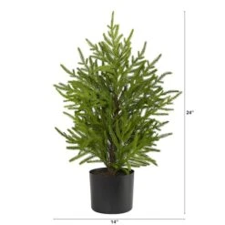 2ft. Unlit Norfolk Island Pine Artificial Potted Christmas Tree 8 2ft. Unlit Norfolk Island Pine Artificial Potted Christmas Tree -Northlight Shop D251270S 2