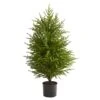 3.5ft. Unlit Norfolk Island Pine Natural Look Artificial Christmas Tree 1 3.5ft. Unlit Norfolk Island Pine Natural Look Artificial Christmas Tree -Northlight Shop D251288S 1