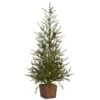 3ft. Unlit Alpine With Pinecones Artificial Potted Christmas Tree 1 3ft. Unlit Alpine With Pinecones Artificial Potted Christmas Tree -Northlight Shop D251298S 1