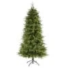 6ft. Pre-Lit Vancouver Fir Natural Look Artificial Christmas Tree, Clear LED Lights 2 6ft. Pre-Lit Vancouver Fir Natural Look Artificial Christmas Tree, Clear LED Lights -Northlight Shop D251306S 1
