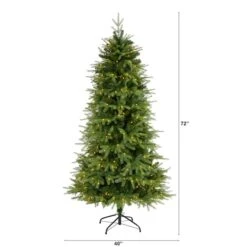 6ft. Pre-Lit Vancouver Fir Natural Look Artificial Christmas Tree, Clear LED Lights 12 6ft. Pre-Lit Vancouver Fir Natural Look Artificial Christmas Tree, Clear LED Lights -Northlight Shop D251306S 2