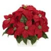 16.5" Potted Poinsettia In White Washed Planter -Northlight Shop D252168S 11