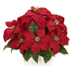 16.5" Potted Poinsettia In White Washed Planter