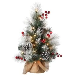 2ft. Pre-Lit Snowy Glacier Pine Artificial Christmas Tree, Warm White LED Lights