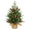 2ft. Pre-Lit Nordic Spruce® Artificial Christmas Tree, Warm White LED Lights