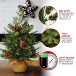 2ft. Pre-Lit Nordic Spruce® Artificial Christmas Tree, Warm White LED Lights -Northlight Shop D252413S 15