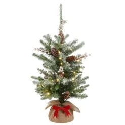 2ft. Pre-Lit Snowy Morgan Spruce Artificial Christmas Tree, Warm White LED Lights