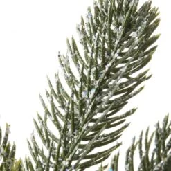 2ft. Pre-Lit Snowy Morgan Spruce Artificial Christmas Tree, Warm White LED Lights 14 2ft. Pre-Lit Snowy Morgan Spruce Artificial Christmas Tree, Warm White LED Lights -Northlight Shop D252426S 15