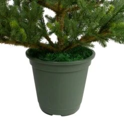 Northlight 4ft. Unlit Noble Pine Artificial Christmas Tree 18 Northlight 4ft. Unlit Noble Pine Artificial Christmas Tree -Northlight Shop D253688S 15