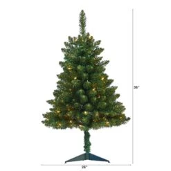 3ft. Pre-Lit Northern Rocky Spruce Artificial Christmas Tree, Clear LED Lights 17 3ft. Pre-Lit Northern Rocky Spruce Artificial Christmas Tree, Clear LED Lights -Northlight Shop D255814S 2