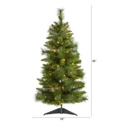 3ft. Pre-Lit New Haven Pine Artificial Christmas Tree, Warm White LED Lights 15 3ft. Pre-Lit New Haven Pine Artificial Christmas Tree, Warm White LED Lights -Northlight Shop D255840S 2