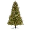 6.5ft. Pre-Lit Big Sky Spruce Artificial Christmas Tree, Clear LED Lights -Northlight Shop D255872S 1