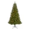 6ft. Pre-Lit Mount Hood Spruce Artificial Christmas Tree, Warm White LED Lights 1 6ft. Pre-Lit Mount Hood Spruce Artificial Christmas Tree, Warm White LED Lights -Northlight Shop D255885S 1