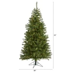 6ft. Pre-Lit Springfield Artificial Christmas Tree, Clear LED Lights 14 6ft. Pre-Lit Springfield Artificial Christmas Tree, Clear LED Lights -Northlight Shop D255886S 8