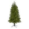 5ft. Pre-Lit Vancouver Spruce Artificial Christmas Tree, Warm White LED Lights 1 5ft. Pre-Lit Vancouver Spruce Artificial Christmas Tree, Warm White LED Lights -Northlight Shop D255889S 1