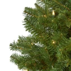 5ft. Pre-Lit Vancouver Spruce Artificial Christmas Tree, Warm White LED Lights 13 5ft. Pre-Lit Vancouver Spruce Artificial Christmas Tree, Warm White LED Lights -Northlight Shop D255889S 3