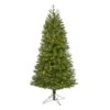 6.5ft. Pre-Lit Vancouver Spruce Artificial Christmas Tree, Warm White LED Lights -Northlight Shop D255891S 1