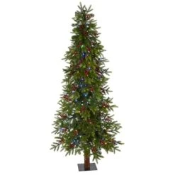 6ft. Pre-Lit Berries Victoria Fir Artificial Christmas Tree With Color Changing LED Lights 12 6ft. Pre-Lit Berries Victoria Fir Artificial Christmas Tree With Color Changing LED Lights -Northlight Shop D255902S 1 1