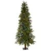 6ft. Pre-Lit Berries Victoria Fir Artificial Christmas Tree With Color Changing LED Lights 1 6ft. Pre-Lit Berries Victoria Fir Artificial Christmas Tree With Color Changing LED Lights -Northlight Shop D255902S 1