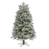 5ft. Pre-Lit Flocked Colorado Mountain Fir Artificial Christmas Tree, Warm White Microdot LED Lights -Northlight Shop D255913S 1