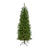 6ft. Pre-Lit Green Mountain Pine Artificial Christmas Tree, Clear LED Lights -Northlight Shop D255927S 1