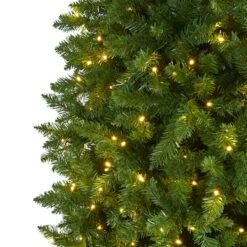 10ft. Pre-Lit Green Mountain Pine Artificial Christmas Tree, Clear LED Lights 13 10ft. Pre-Lit Green Mountain Pine Artificial Christmas Tree, Clear LED Lights -Northlight Shop D255929S 3