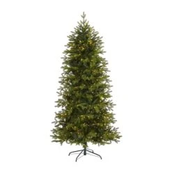 7ft. Pre-Lit Belgium Fir Artificial Christmas Tree, Clear LED Lights 11 7ft. Pre-Lit Belgium Fir Artificial Christmas Tree, Clear LED Lights -Northlight Shop D255964S 1 1