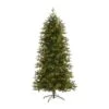 7ft. Pre-Lit Belgium Fir Artificial Christmas Tree, Clear LED Lights 2 7ft. Pre-Lit Belgium Fir Artificial Christmas Tree, Clear LED Lights -Northlight Shop D255964S 1