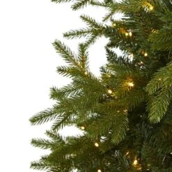 7ft. Pre-Lit Belgium Fir Artificial Christmas Tree, Clear LED Lights 13 7ft. Pre-Lit Belgium Fir Artificial Christmas Tree, Clear LED Lights -Northlight Shop D255964S 3
