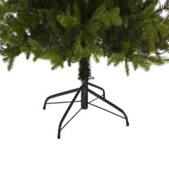 7ft. Pre-Lit Belgium Fir Artificial Christmas Tree, Clear LED Lights 15 7ft. Pre-Lit Belgium Fir Artificial Christmas Tree, Clear LED Lights -Northlight Shop D255964S 5